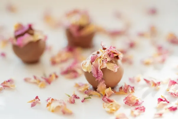 Paris VIP Casino Android/iOS App